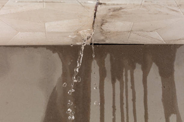 Professional Water Damage Repair technician working in Reinholds, PA